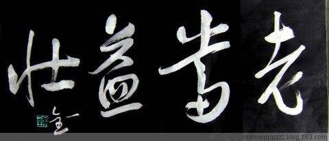 书家宁一全送给网友的吉语作品